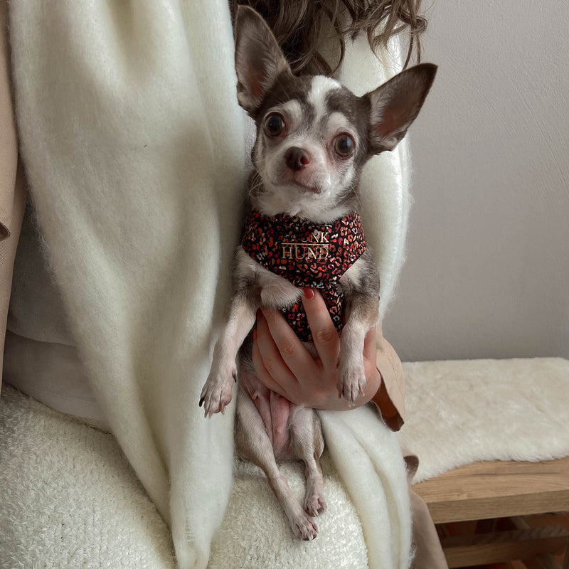 Soft harness MAROON