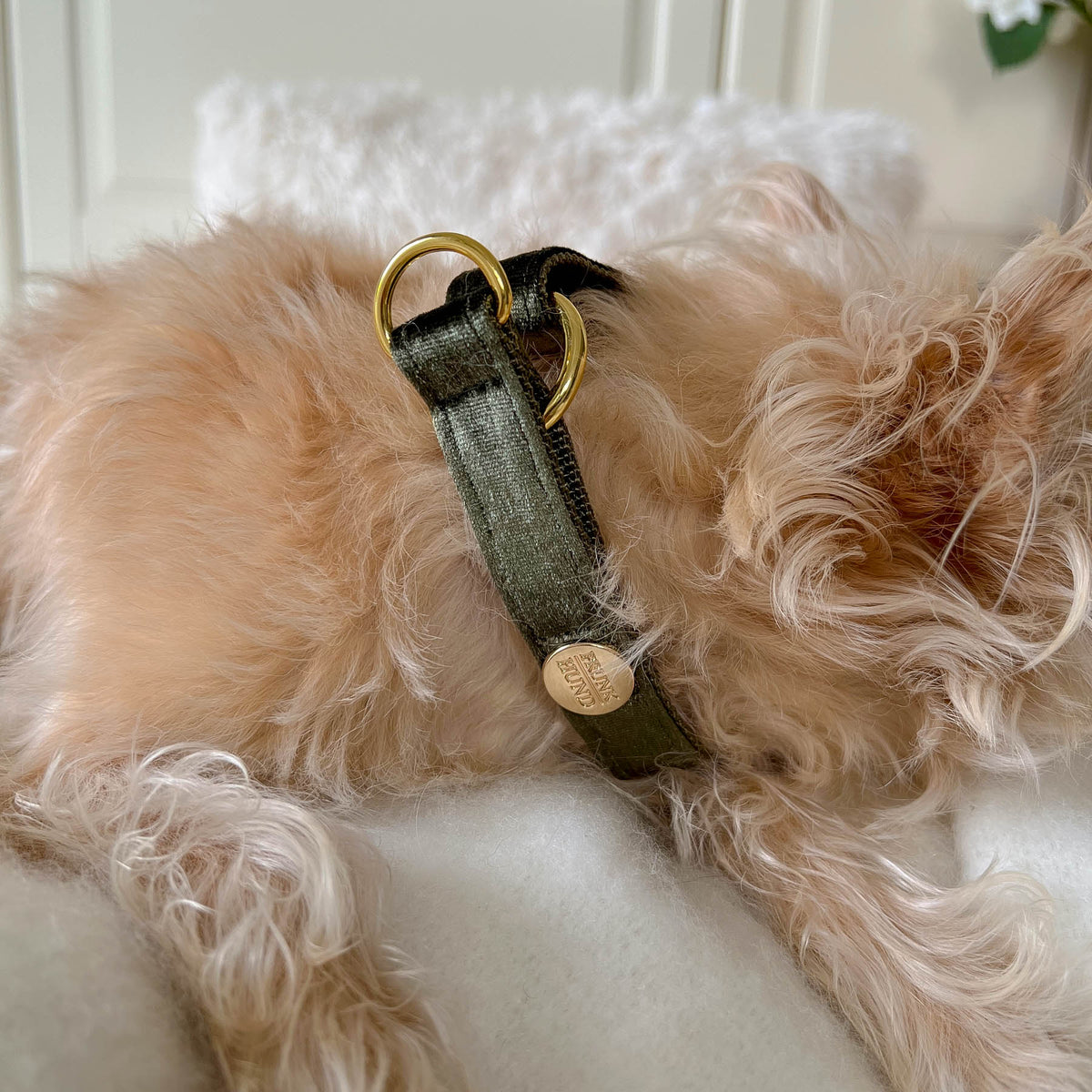 MOSS collar