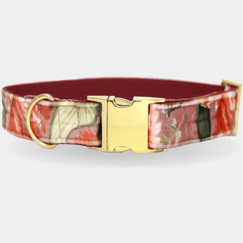 EDEN DAWN collar
