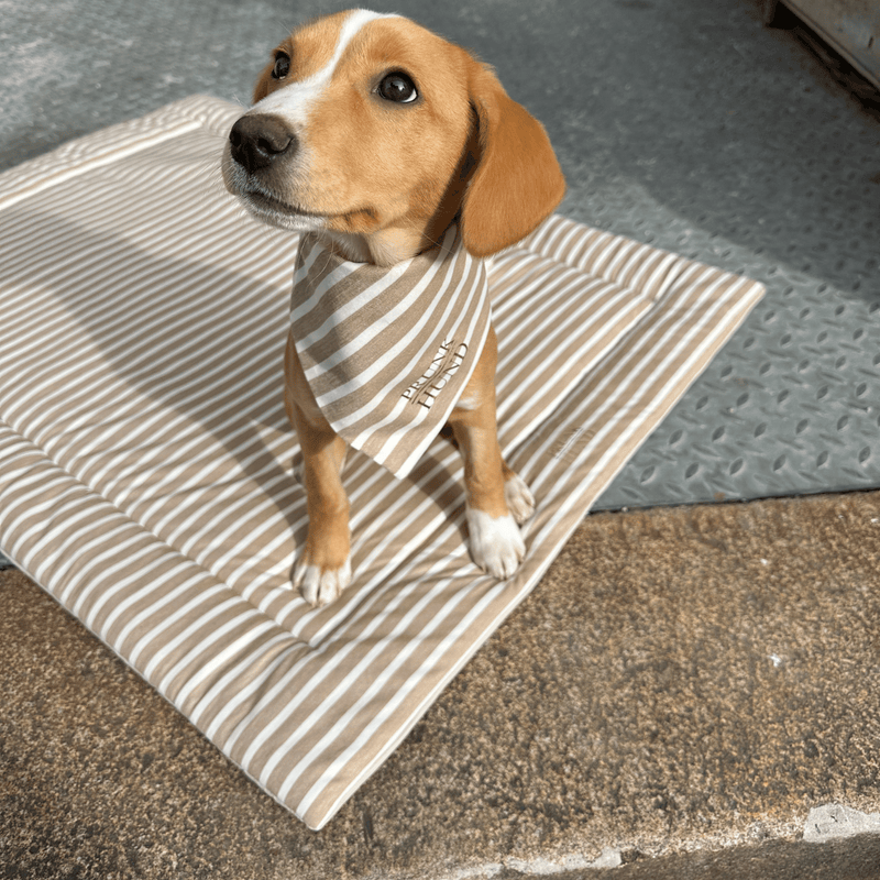 LIDO SAND dog blanket
