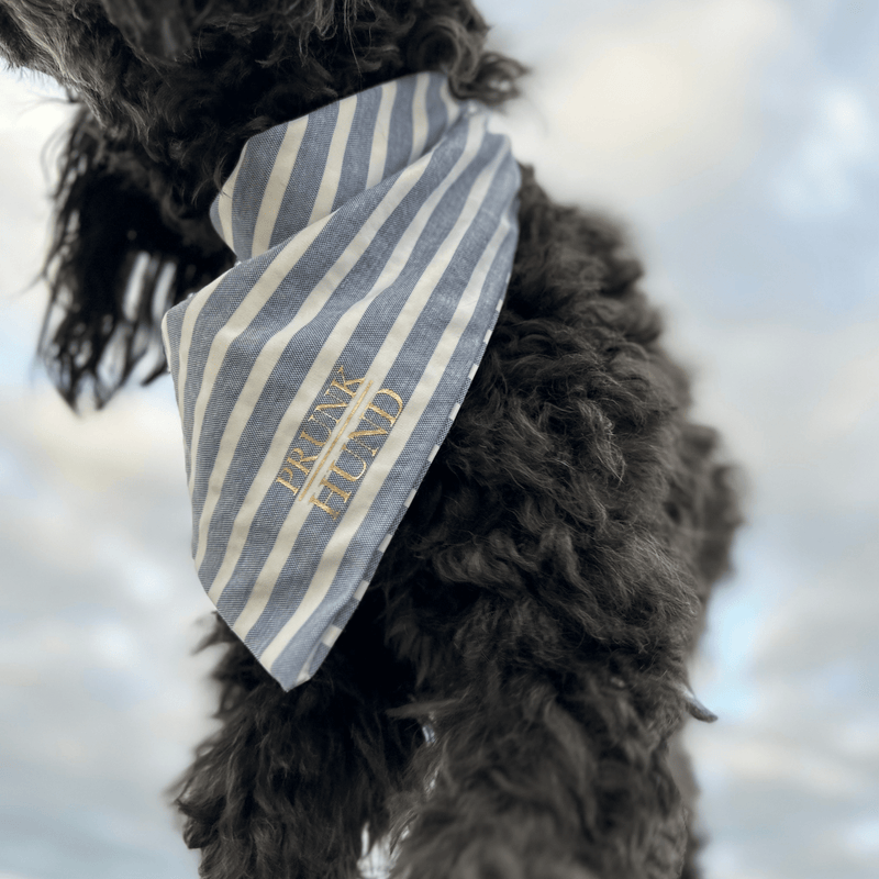 Dog bandana LIDO BLUE