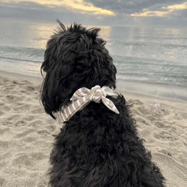 Dog bandana LIDO SAND