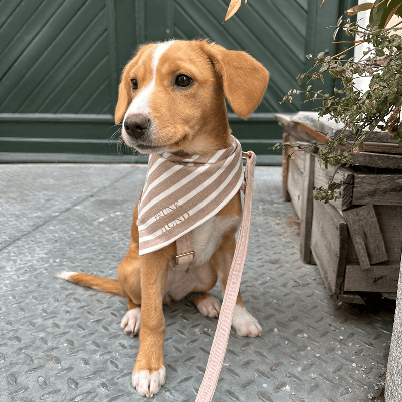 Hundehalstuch LIDO SAND