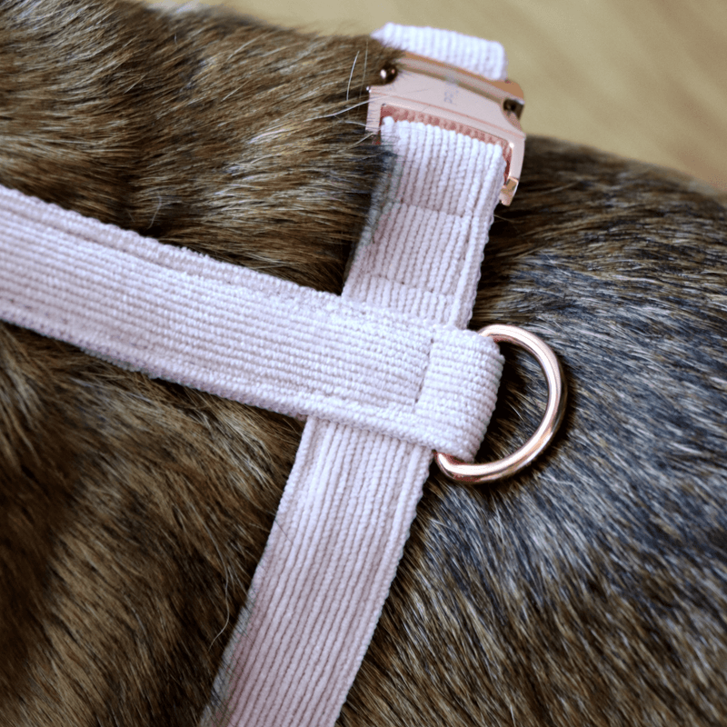 Hundegeschirr BABE