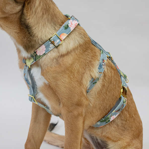 EDEN DUSK safety harness