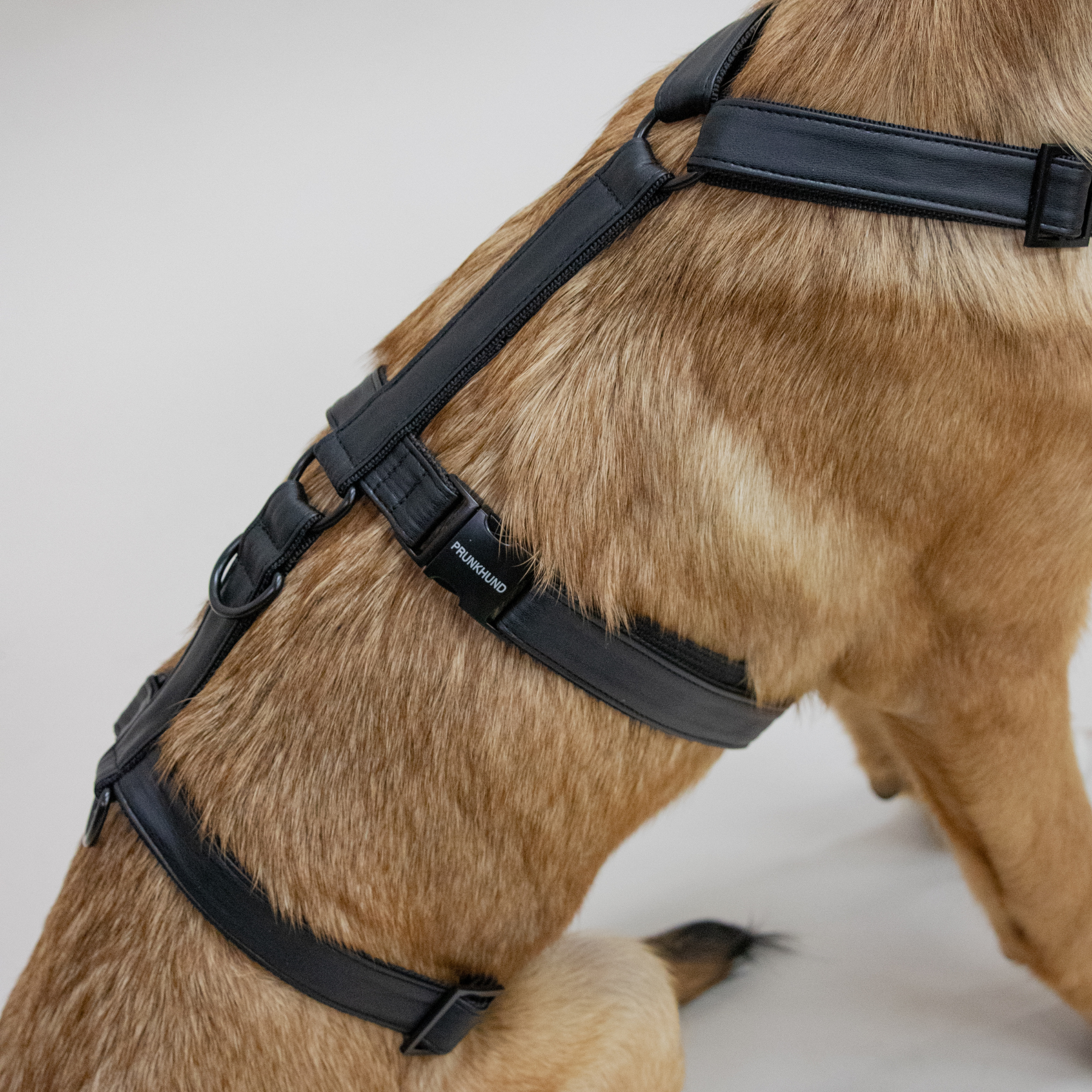 DARK safety harness