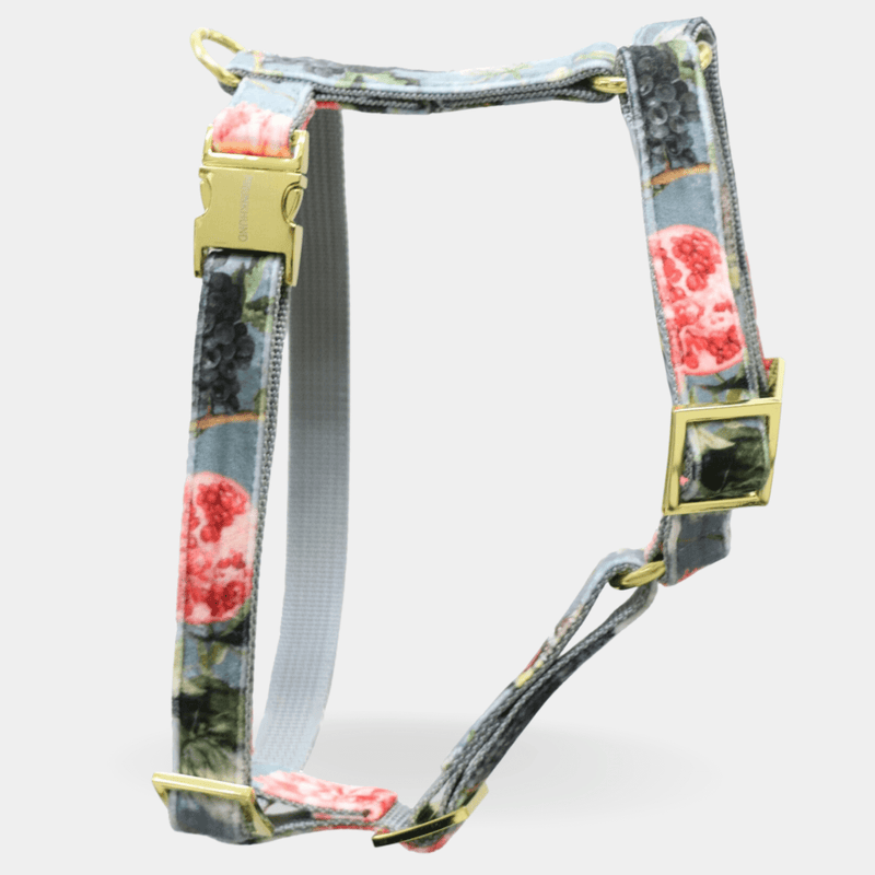Dog harness EDEN DUSK