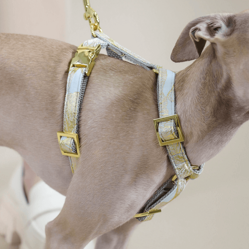 Dog harness EDEN DUSK