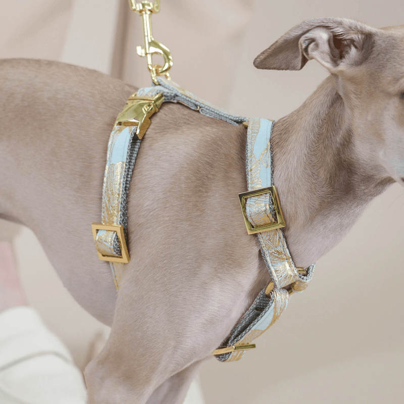 Dog harness EDEN DUSK