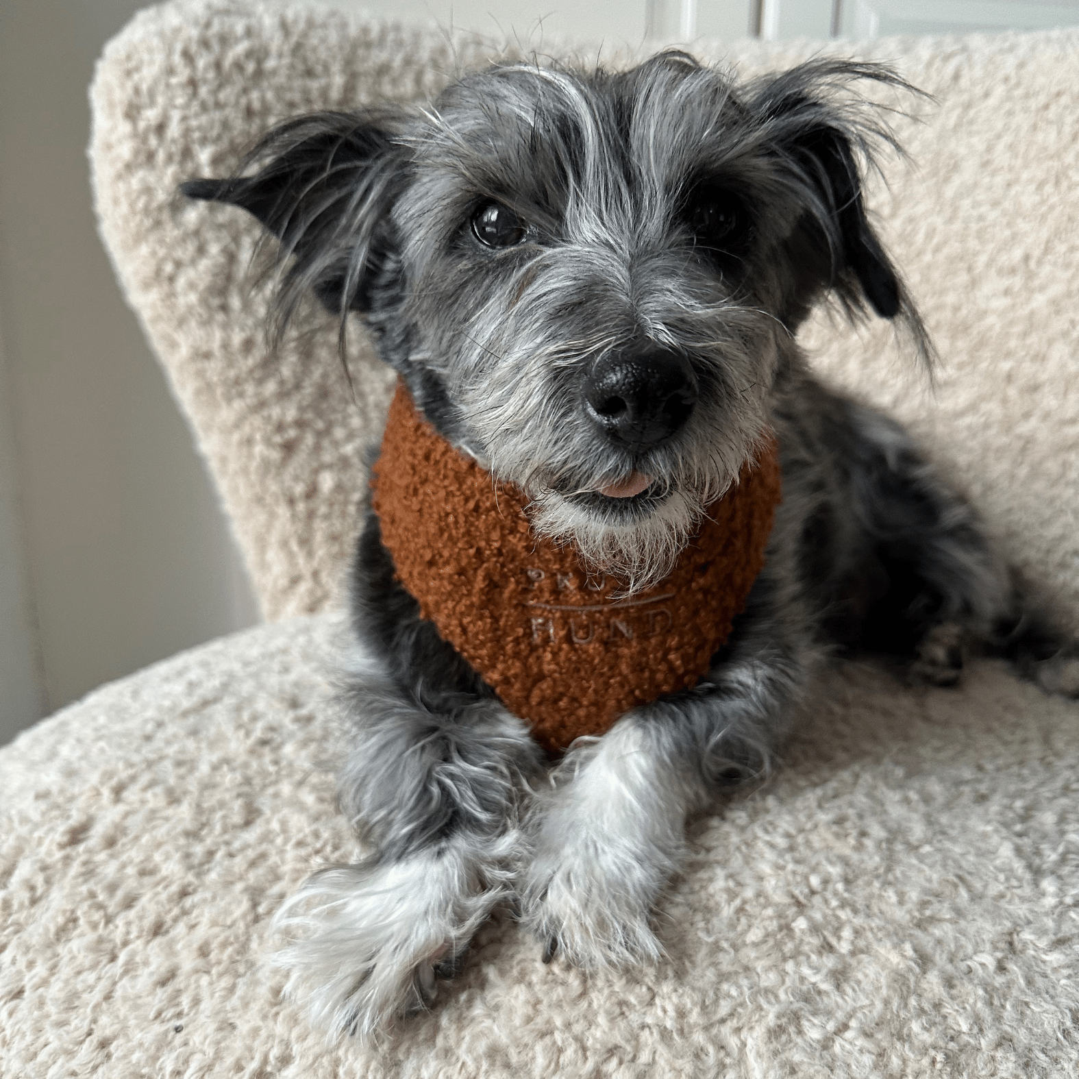 TEDDY caramel soft harness