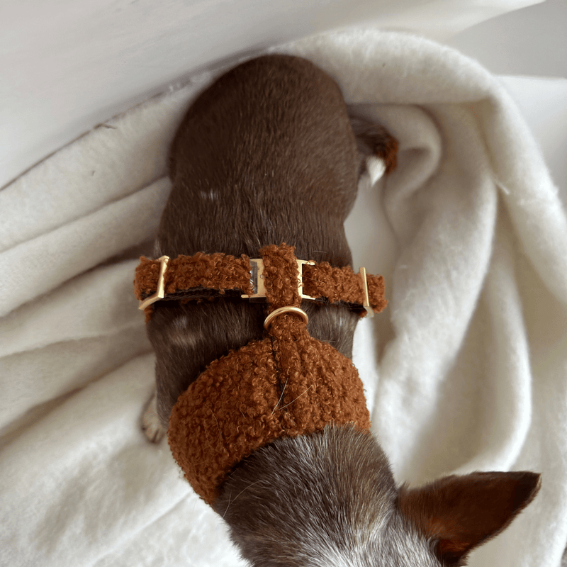TEDDY caramel soft harness