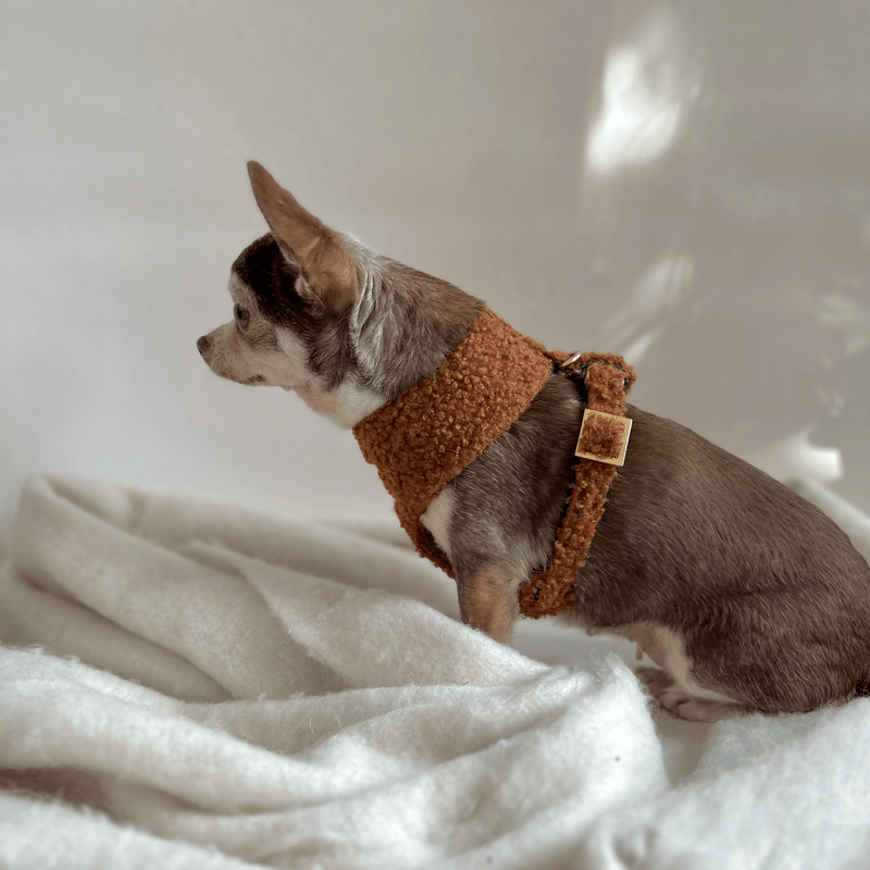 TEDDY caramel soft harness
