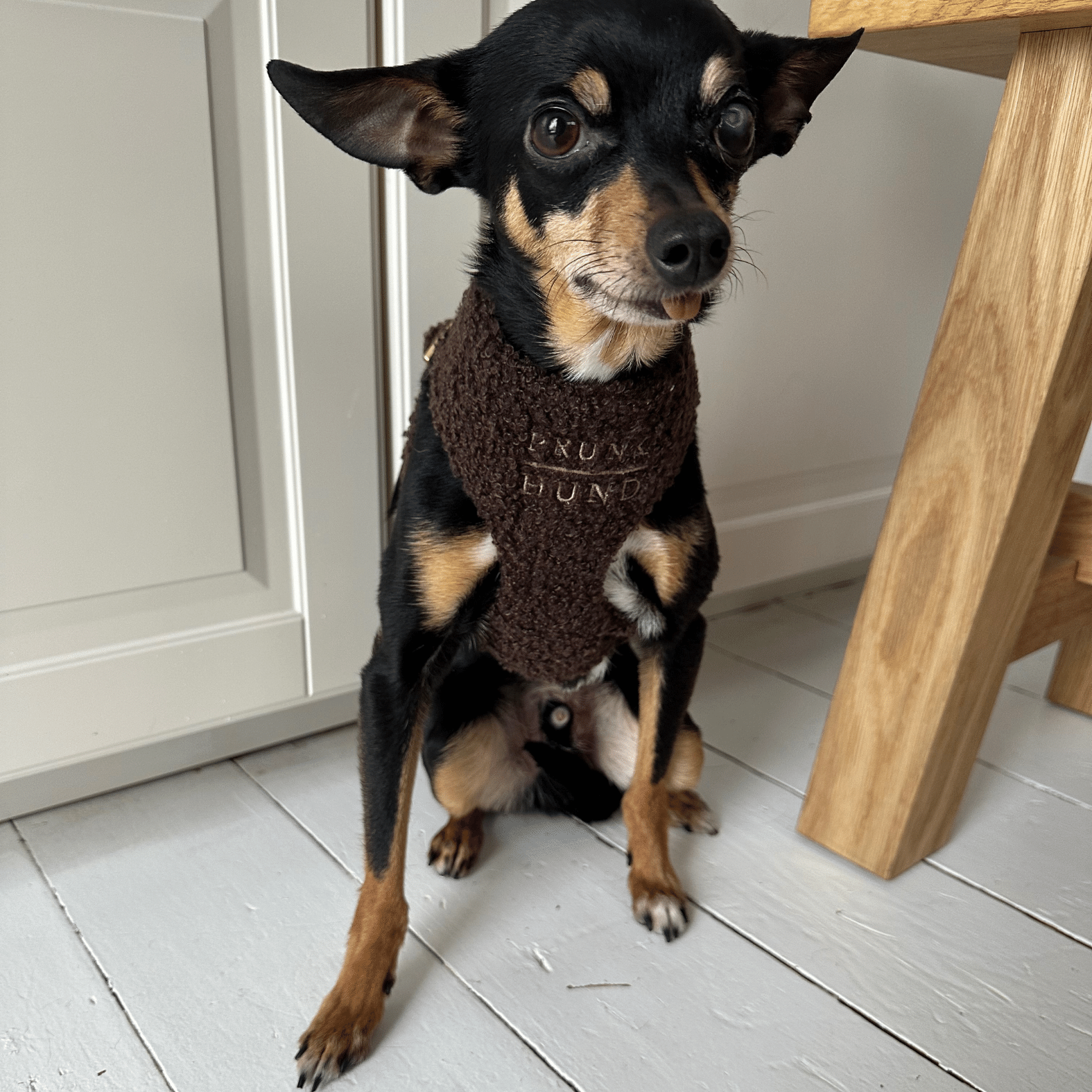 TEDDY mocca soft harness