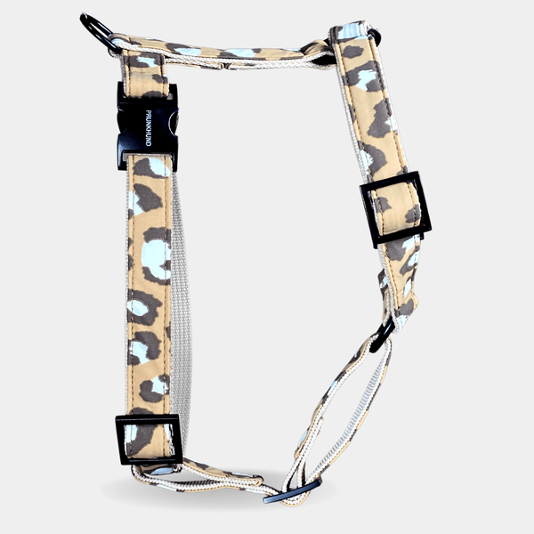 dog harness ROAR