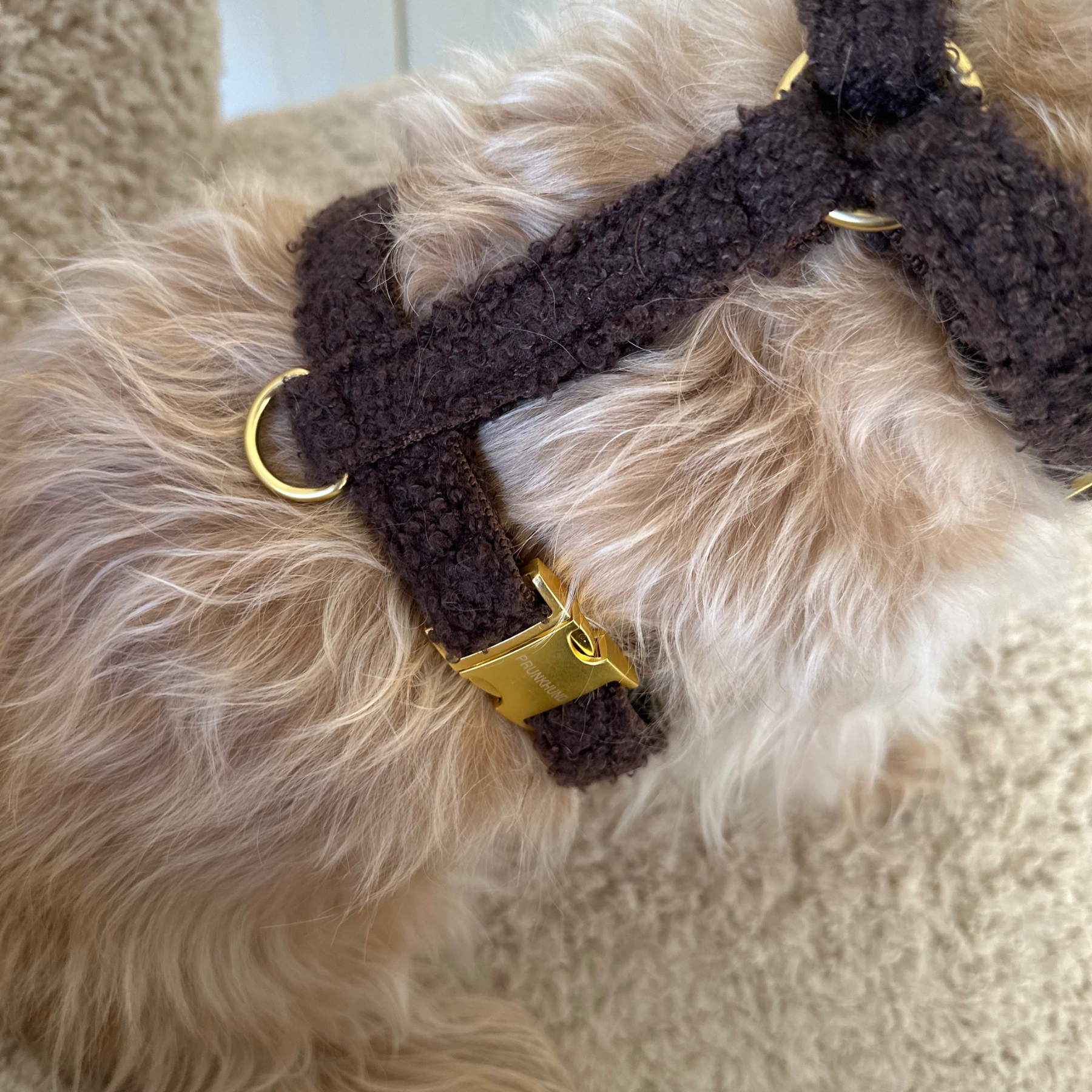 Hundegeschirr TEDDY mocca