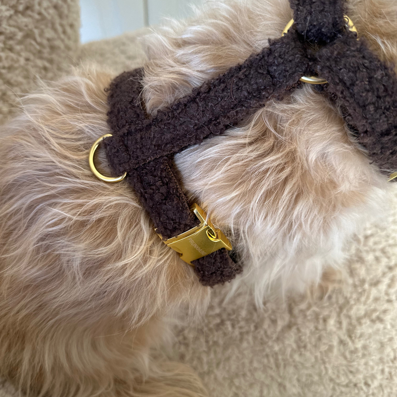 TEDDY mocca dog harness
