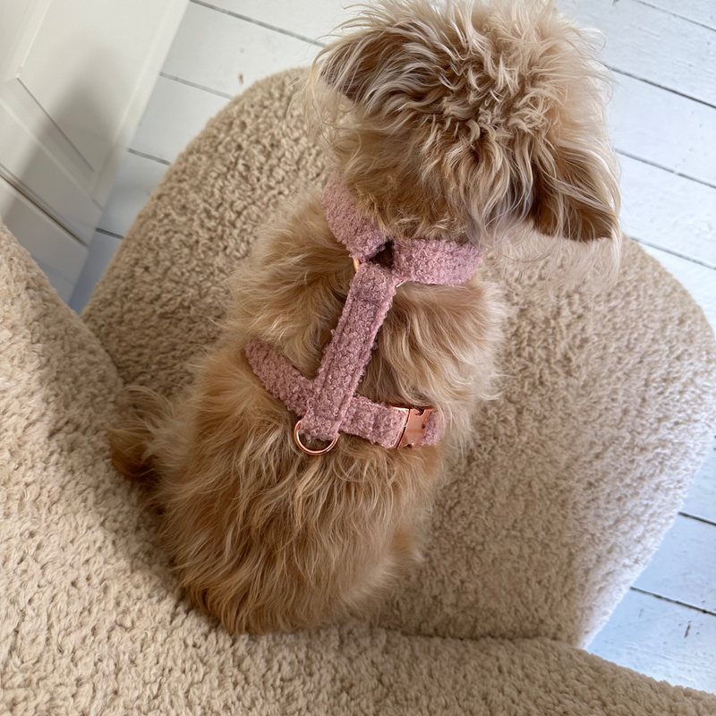 Hundegeschirr TEDDY blush