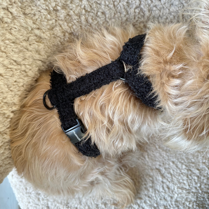 Hundegeschirr TEDDY black