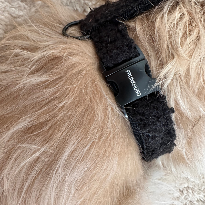 Hundegeschirr TEDDY black