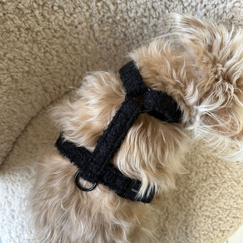 Hundegeschirr TEDDY black