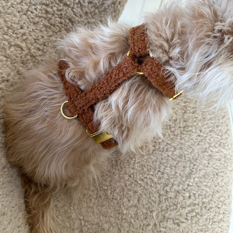 TEDDY caramel dog harness