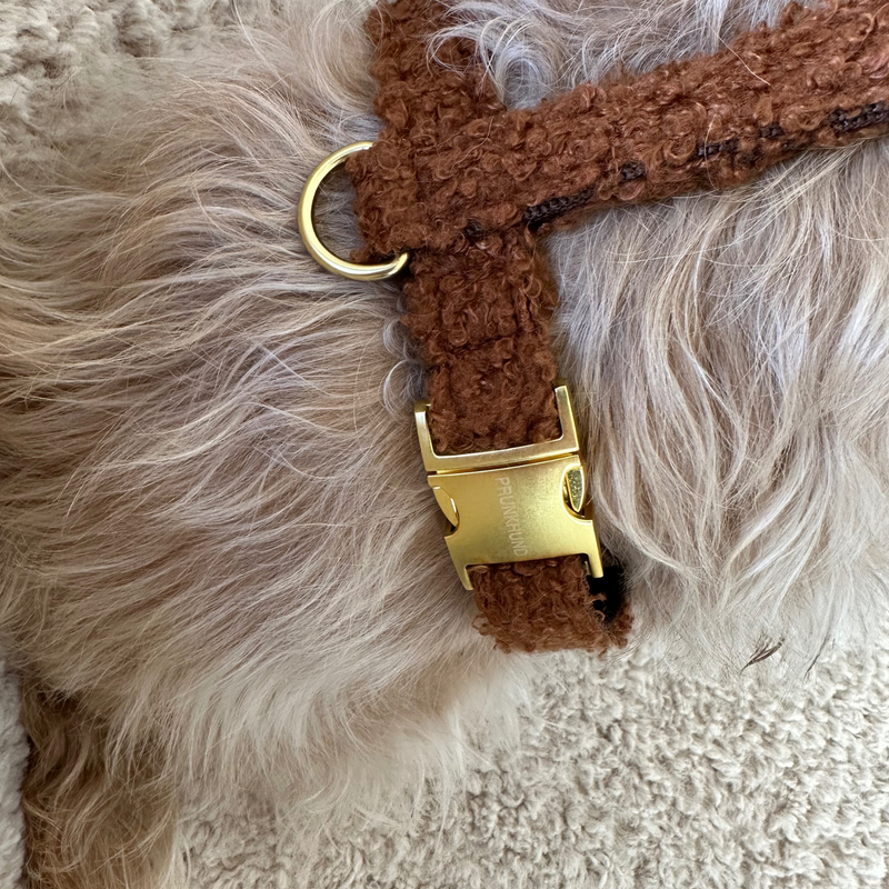 TEDDY caramel dog harness