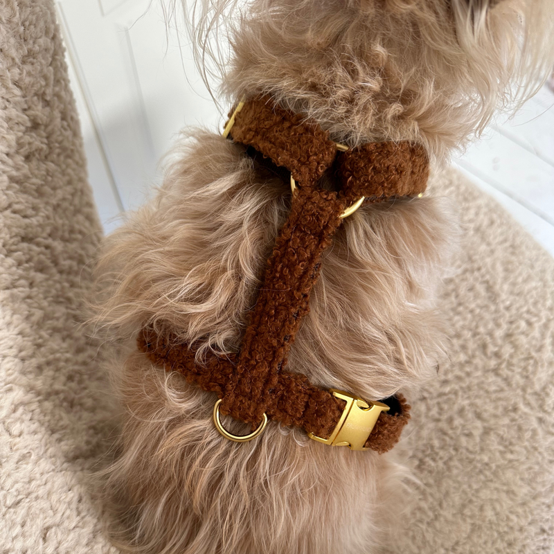 Hundegeschirr TEDDY caramel