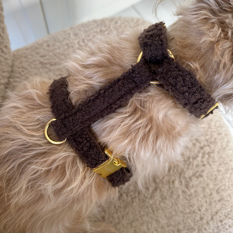 TEDDY mocca dog harness