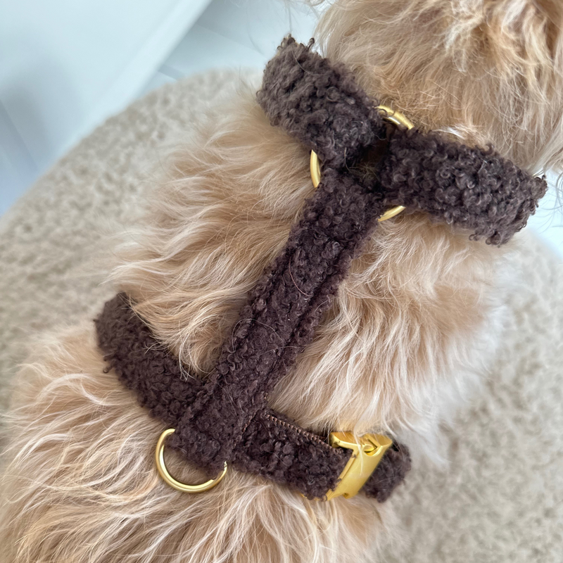 TEDDY mocca dog harness