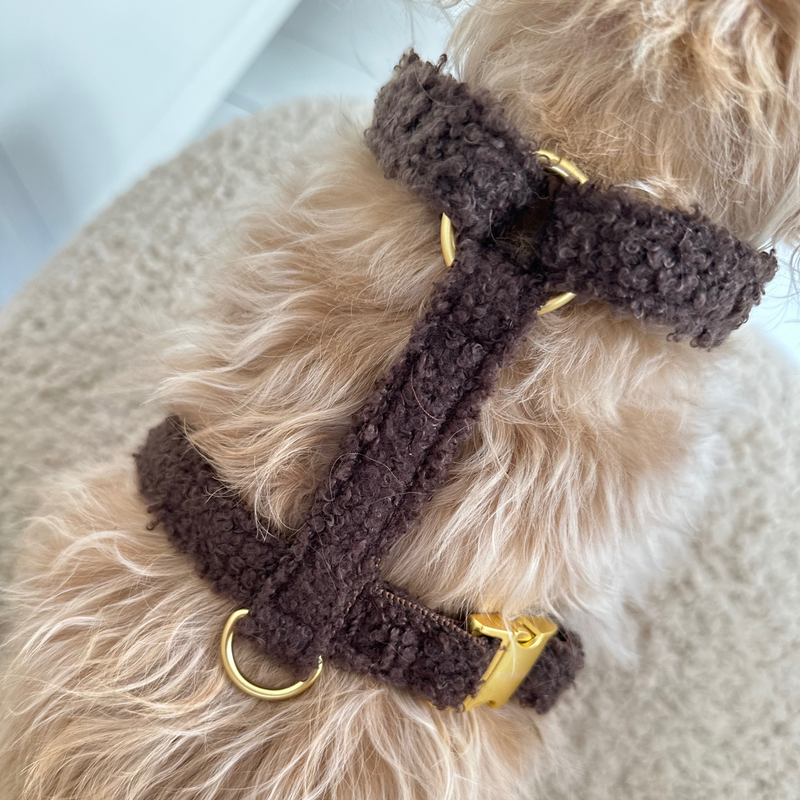 Hundegeschirr TEDDY mocca