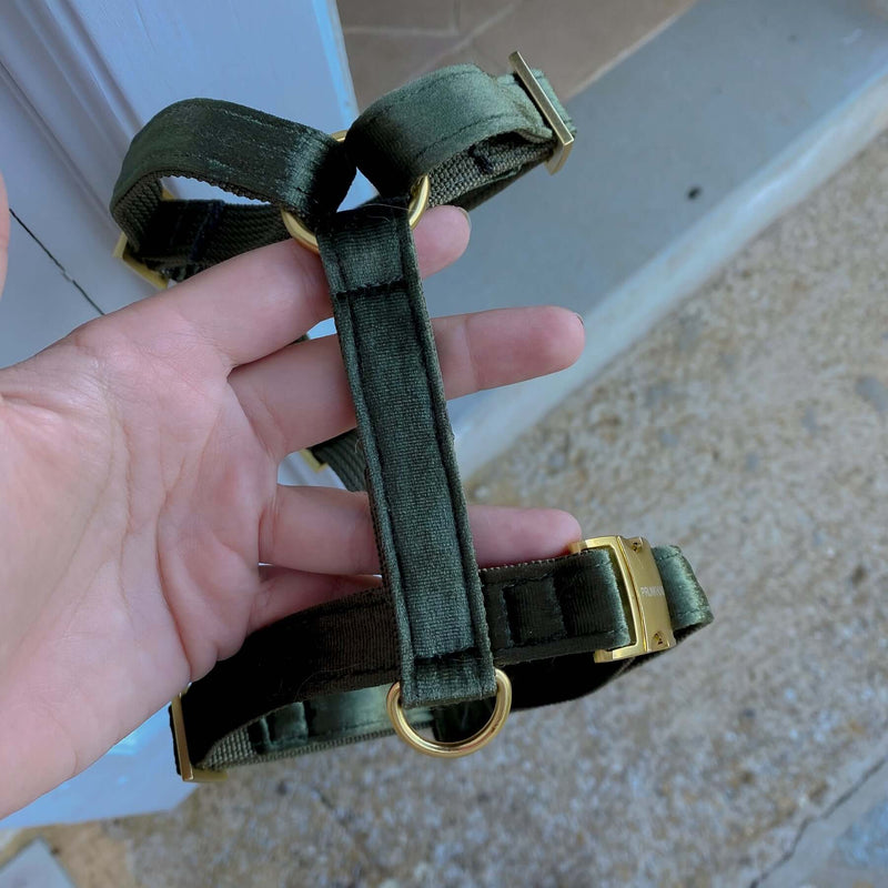 dog harness MOSS