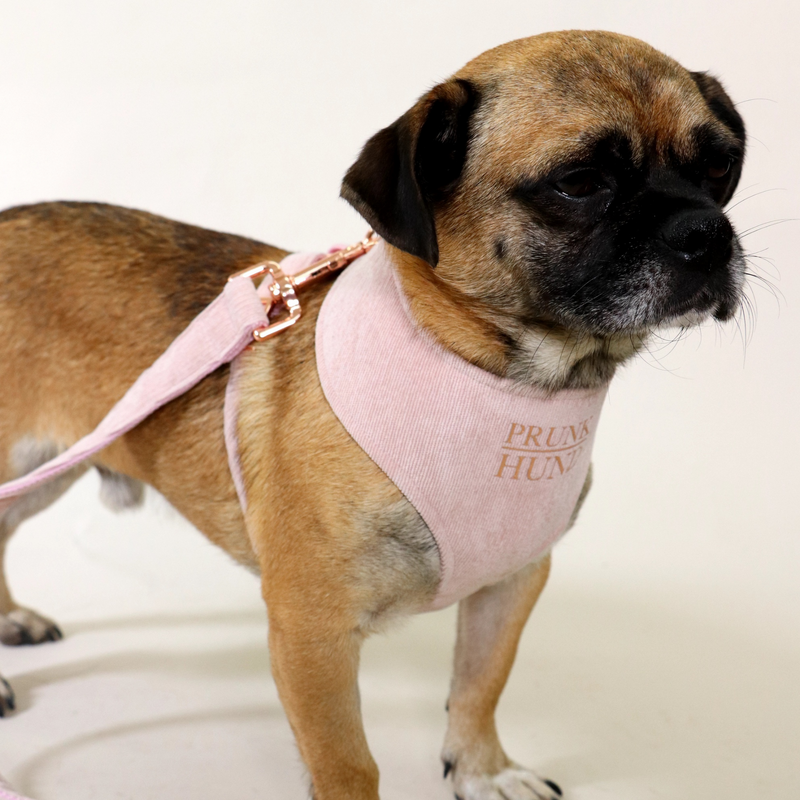 Soft harness BABE