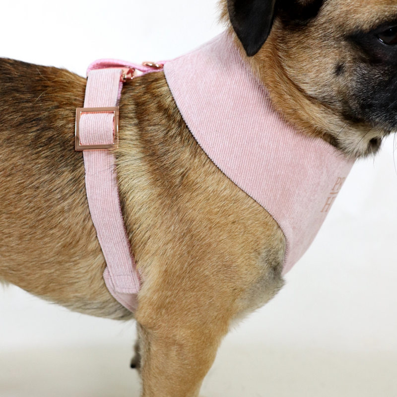 Soft harness BABE