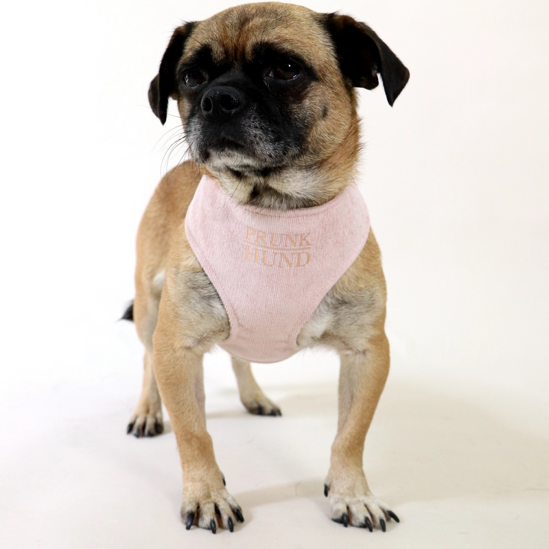 Soft harness BABE