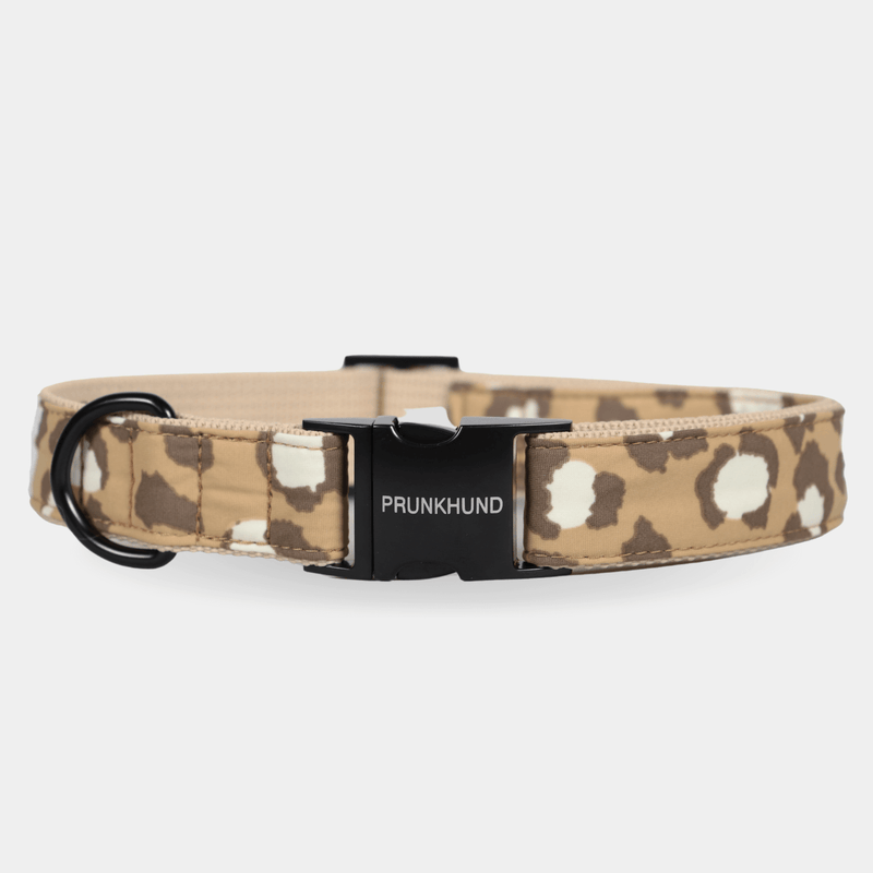 Halsband ROAR