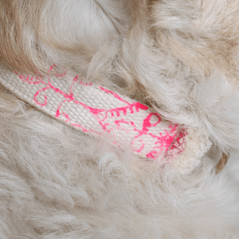 Halsband NOMAD fuchsia