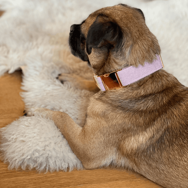 Collar BABE