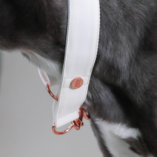 COCONUT collar