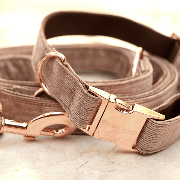 MOCCA collar
