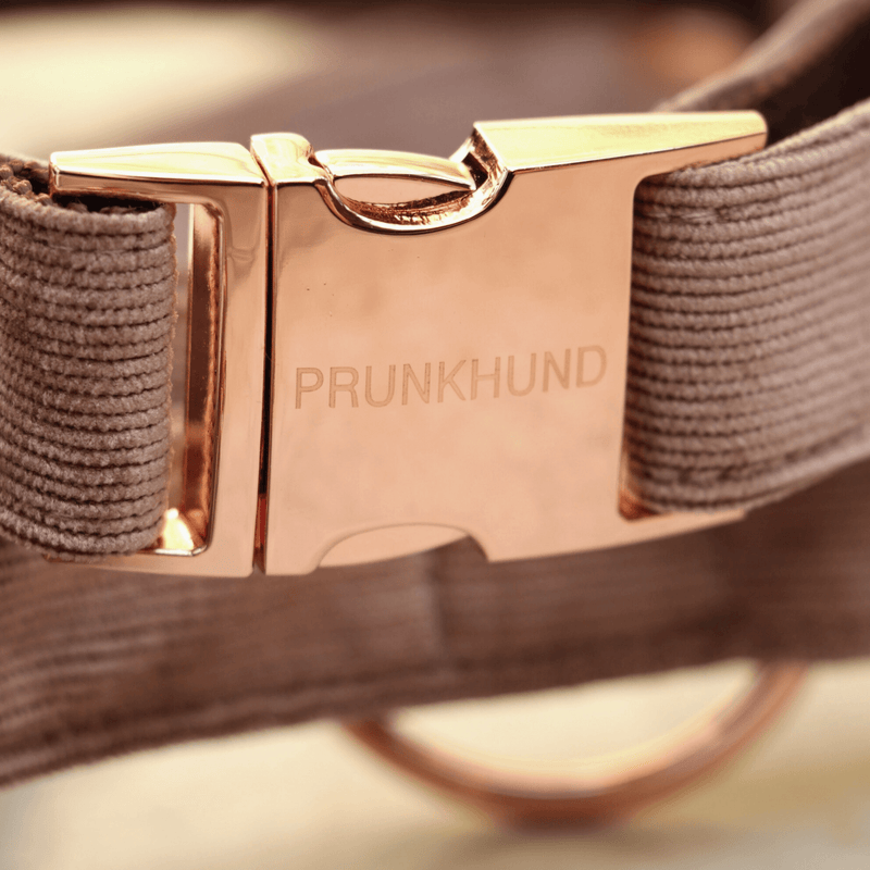 MOCCA collar