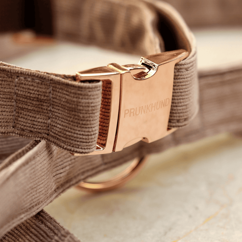 MOCCA collar