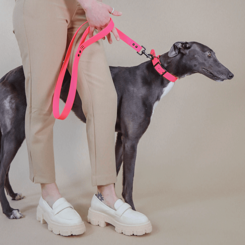 collar NEON RAIN