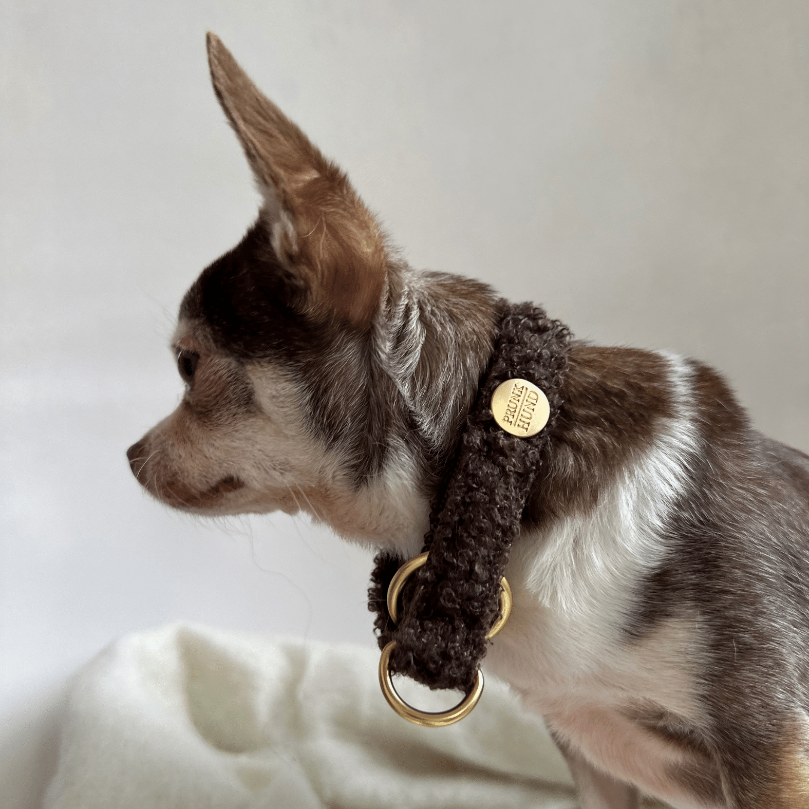 Zugstopp Halsband TEDDY mocca