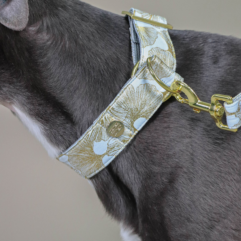Zugstopp Halsband GINKGO