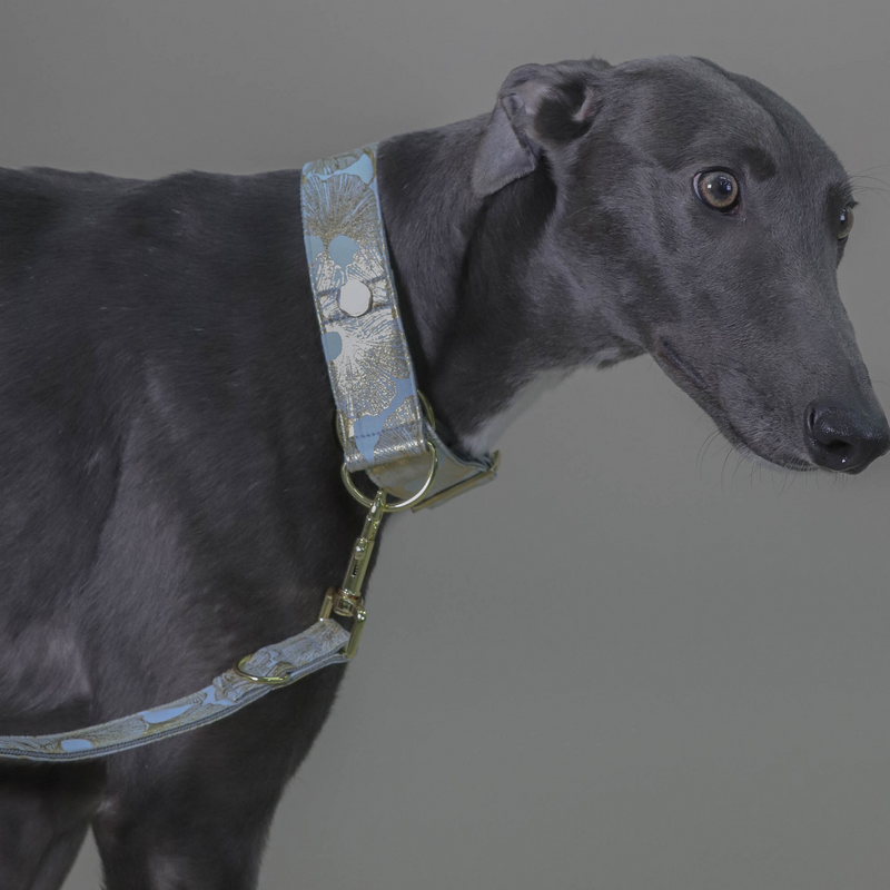 Zugstopp Halsband GINKGO