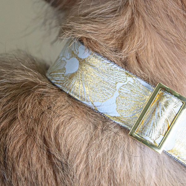 EDEN DUSK collar