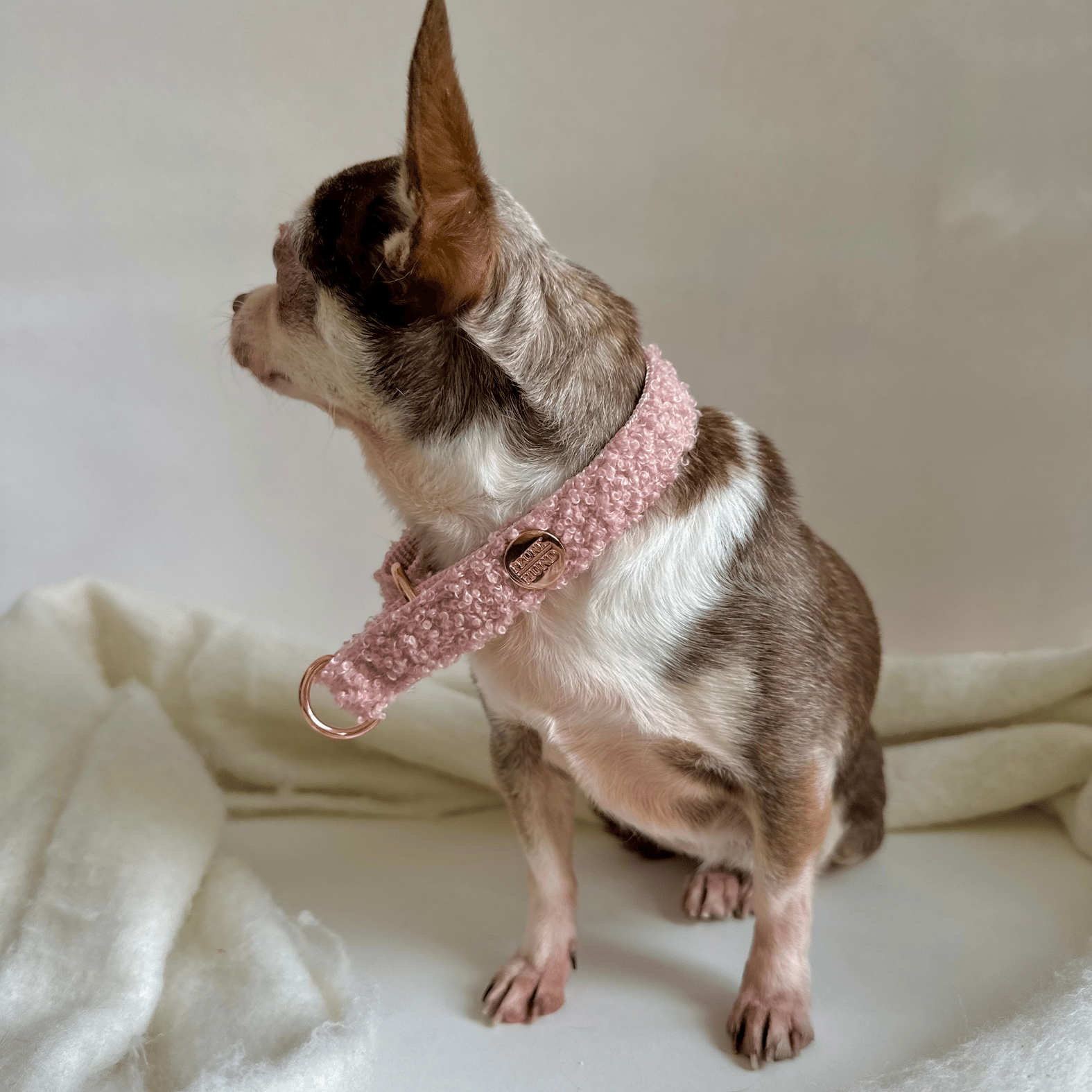 TEDDY blush marginale collar