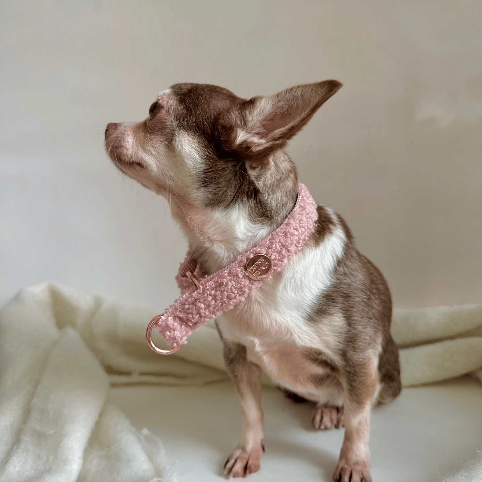 TEDDY blush marginale collar