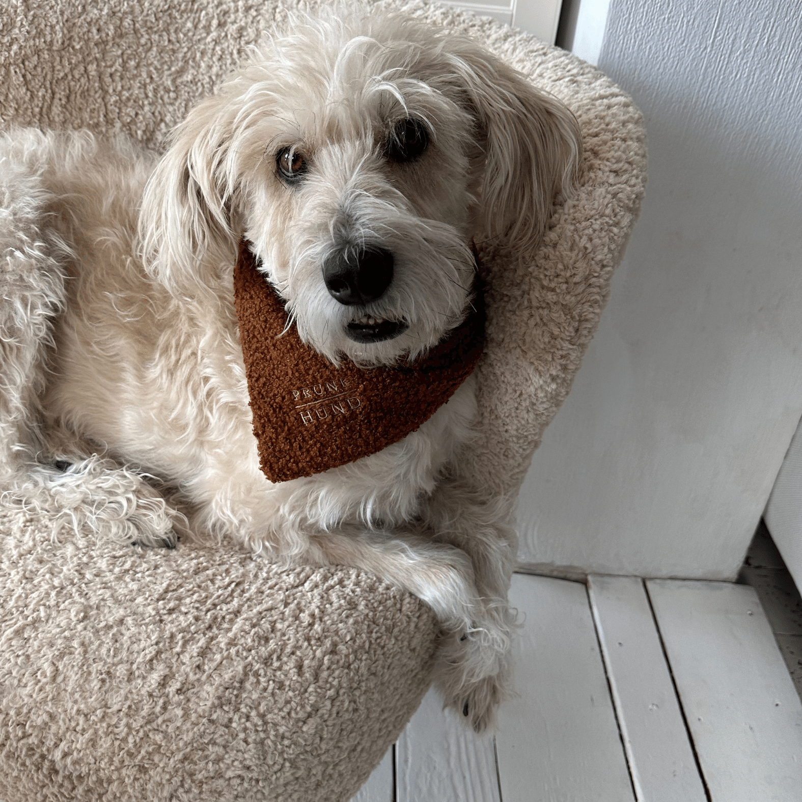 Dog bandana TEDDY caramel