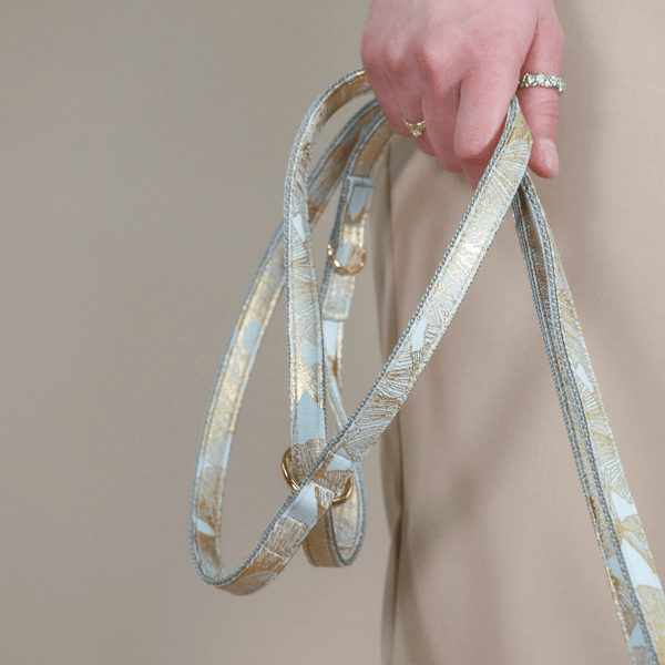 EDEN DUSK leash